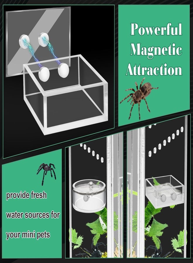 Windspeed 2+1P 1.8 in Mini Jumping Spider Feeding Dish Magnet Tarantula Water Bowl for Spider Feeder Water Dish for Tarantula Tank Enclosure Accessories, with A Dropper - Image 3